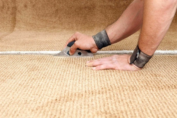 How Professional Carpet Cleaning Protects Your Investment Boynton Beach FL How Professional Carpet Cleaning Protects Your Investment Boynton Beach FL